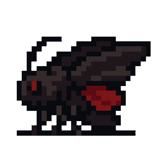 Night Moth