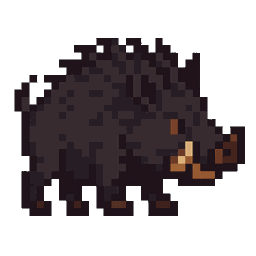 Boar