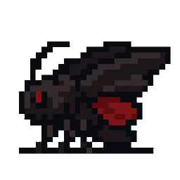 Night Moth