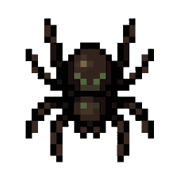 Spider, venomous